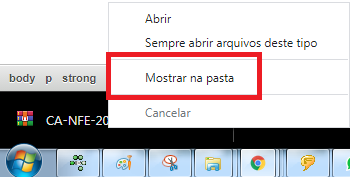 Mostrar na pasta