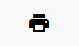 Icone imprimir teste do layout